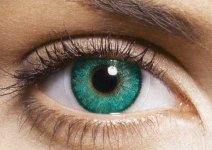 Caribbean aqua(карибиан аква)